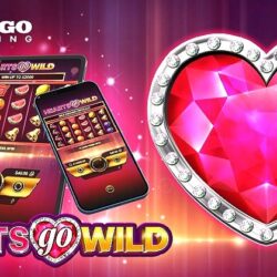 Hearts Go Wild